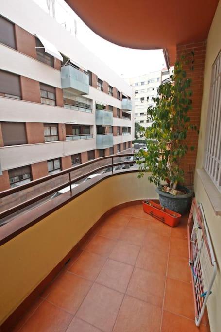 Sevilla Clasica: Amigos Y Familia. Parking Gratis! ภายนอก รูปภาพ